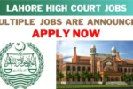 Lahore High Court LHC Jobs 2025| https://lhc.gov.pk